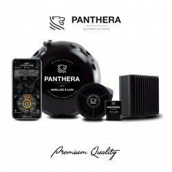 Panthera Leo Active Sound ASC 6.1 - Sound Booster + Boost