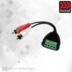 Morel MPS-HL Adaptador Altavoces a RCA