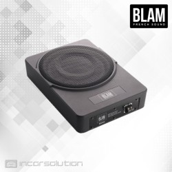 BLAM MSP 25 Passive Subwoofer 10"